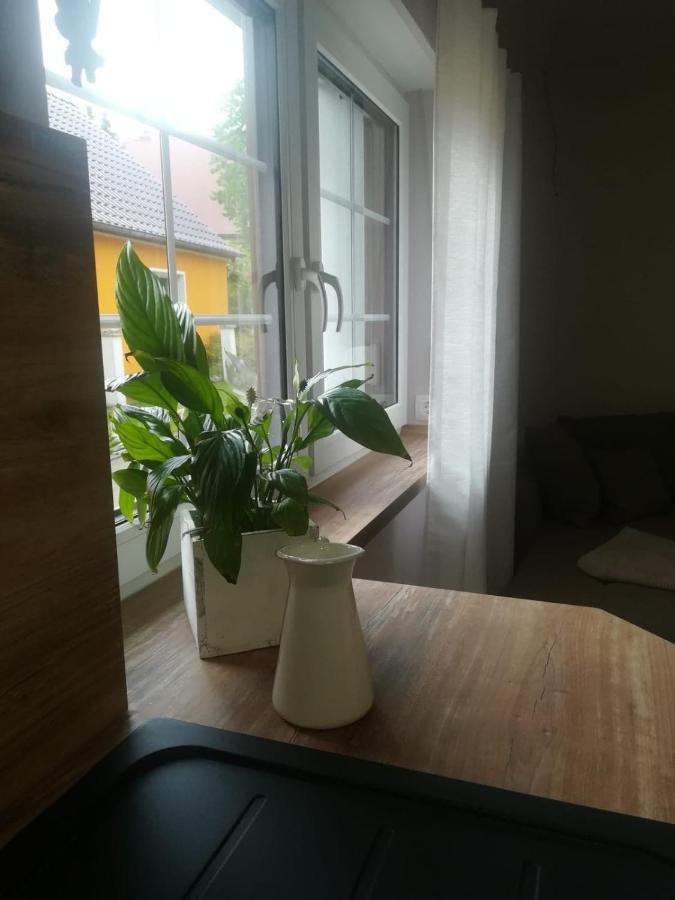 Landhaus Huchatz Бург Экстерьер фото